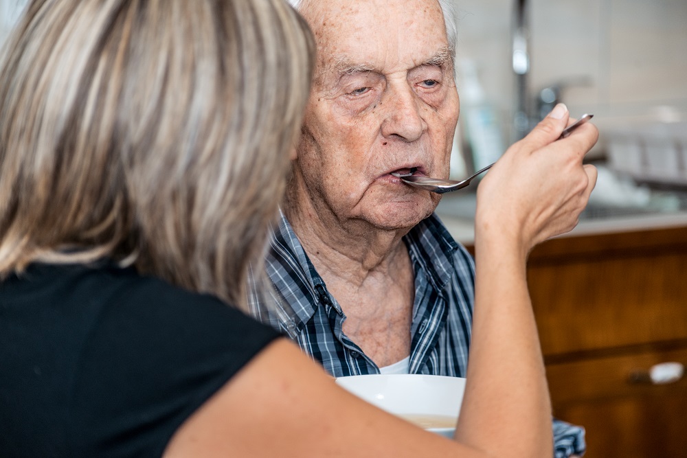 Дом престарелых в Стрелице | Времена года